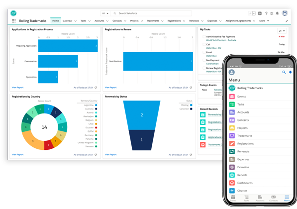 Intuitive and customizable interface