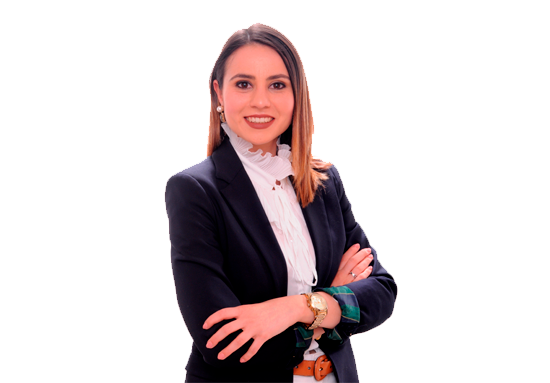 Ana Mendes Lopes Legal